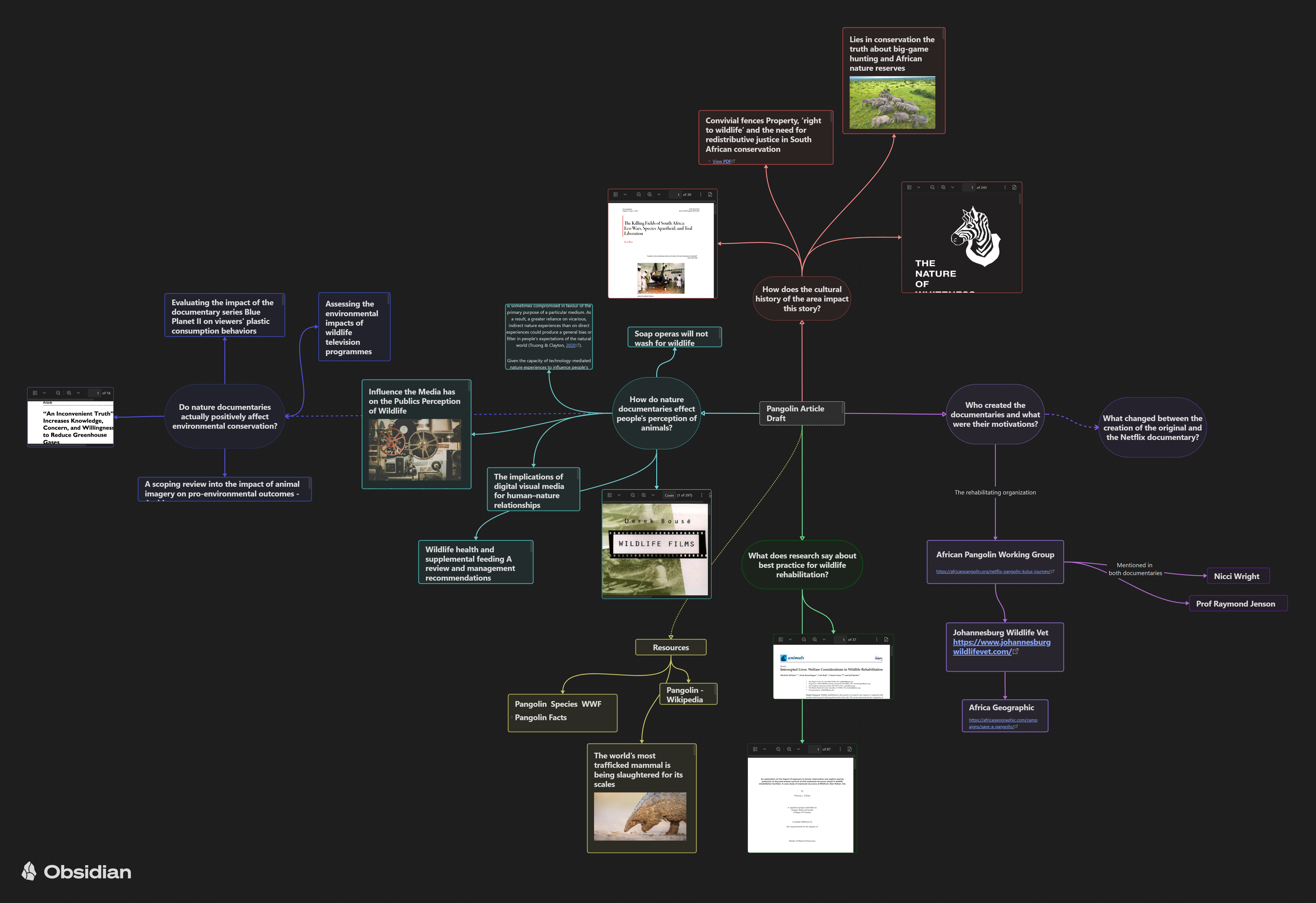 A colorful and extensive flowchart built in a canvas. Four branches of bubbles extend from a central idea in the middle of the canvas. Some of the bubbles are original thoughts and some are links to content relating to the subject.