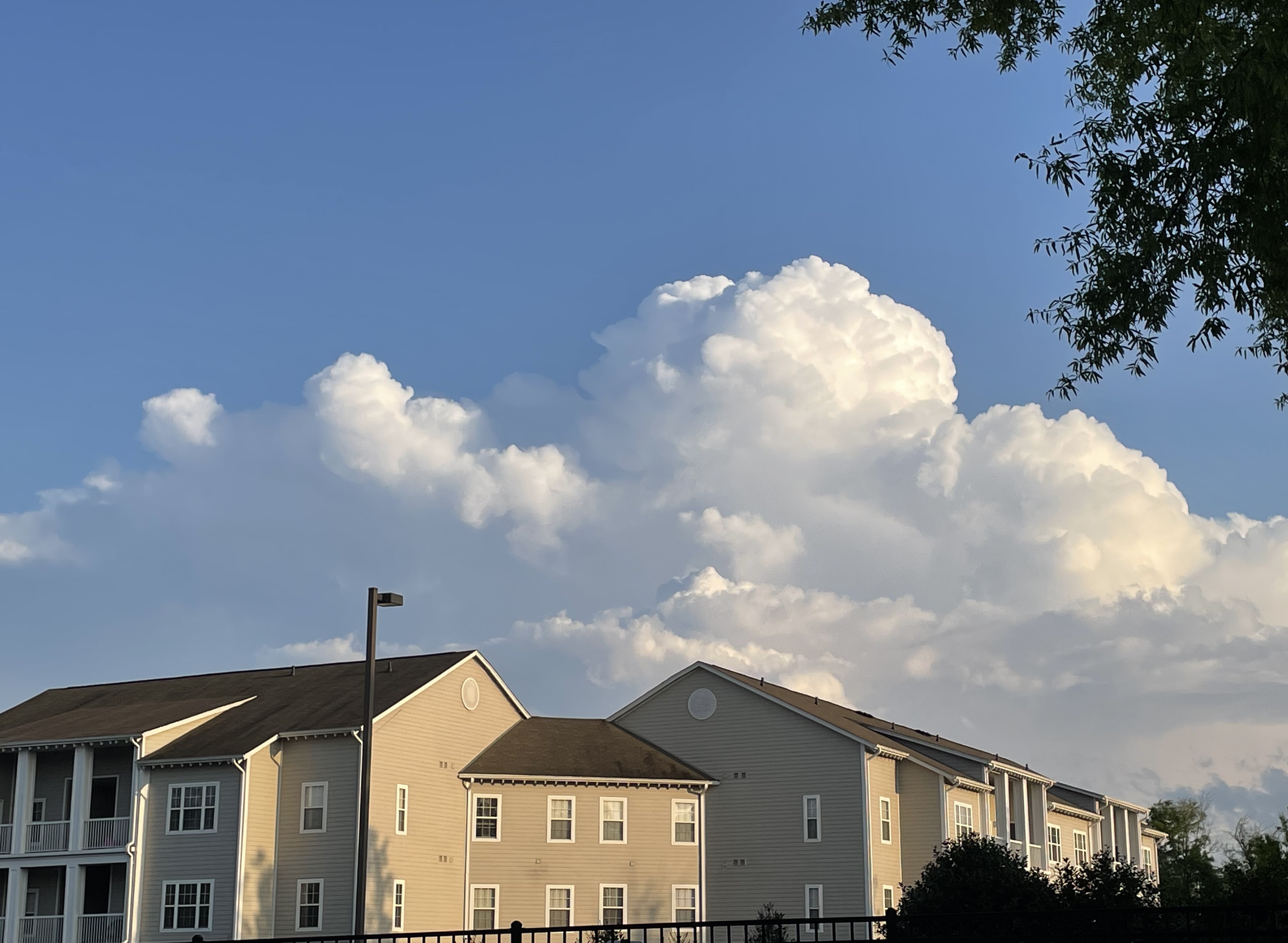 A huge fluffy cloud in the late afternoon light.