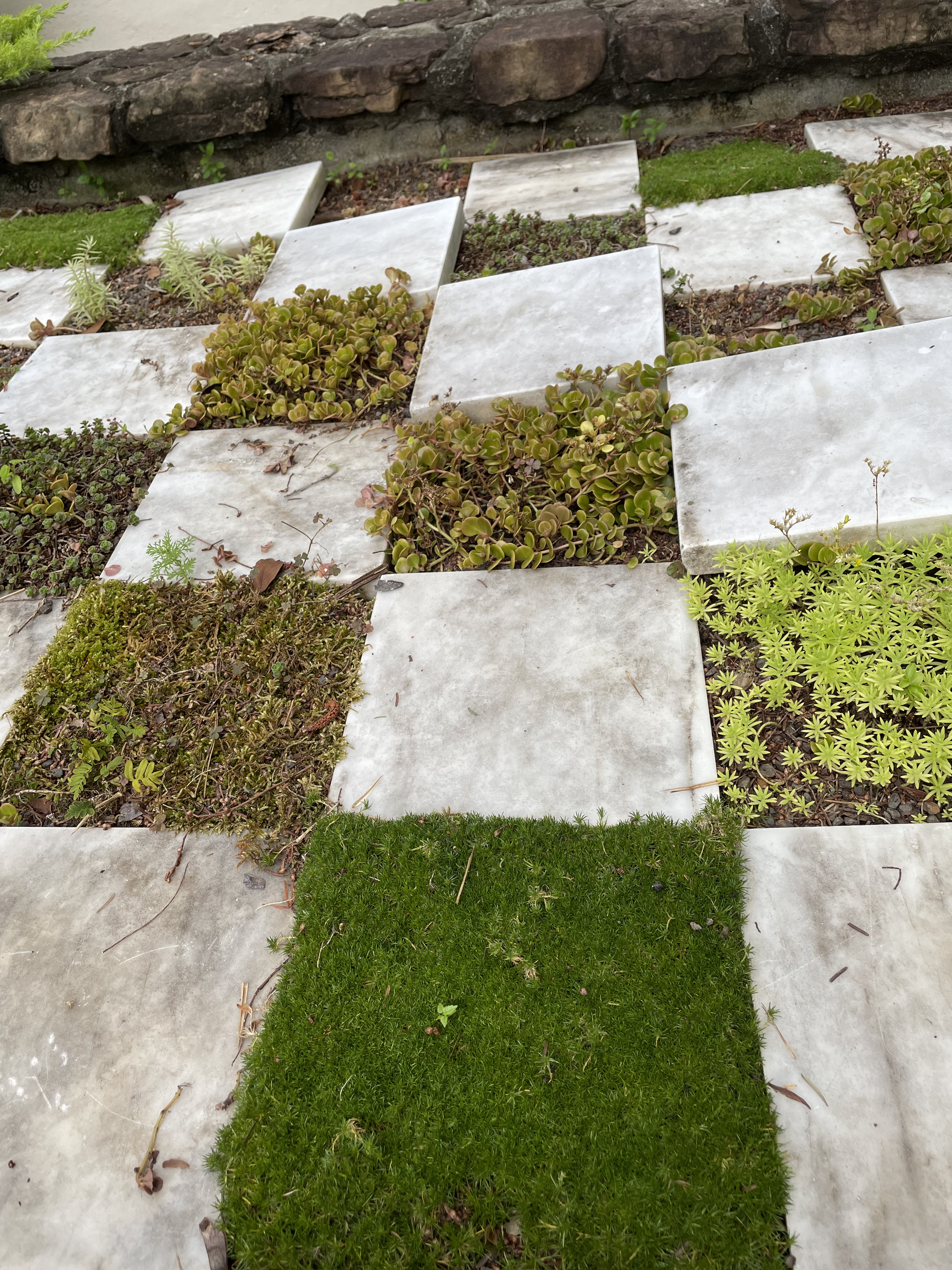 A checkerboard of marble slabs and moss.